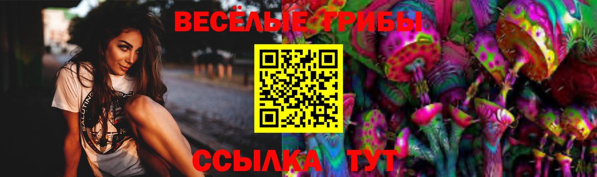 Истра  Галлюциногенные грибы GOLDEN TEACHER  Вход с VPN 